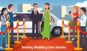 Indian Wedding Limousine Service